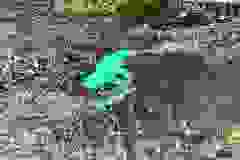 424982839_10233311436591241_3135436442206237175_n