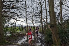 429688508_10168546319850228_5994281939208387541_n