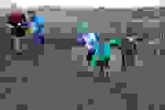 1_418182576_10233050639551478_7371426162184118264_n